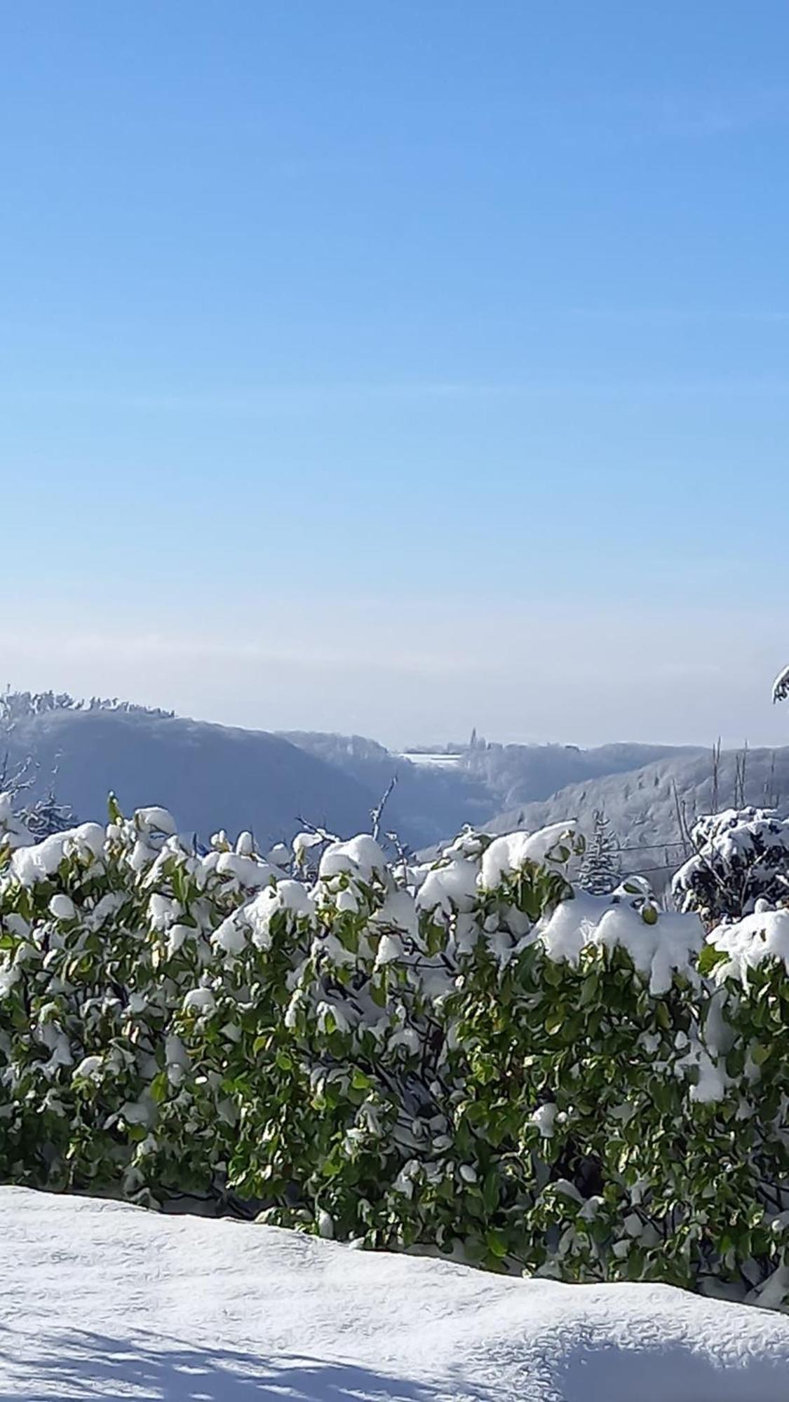 Haus Am Wald Leilighet Hillscheid Eksteriør bilde