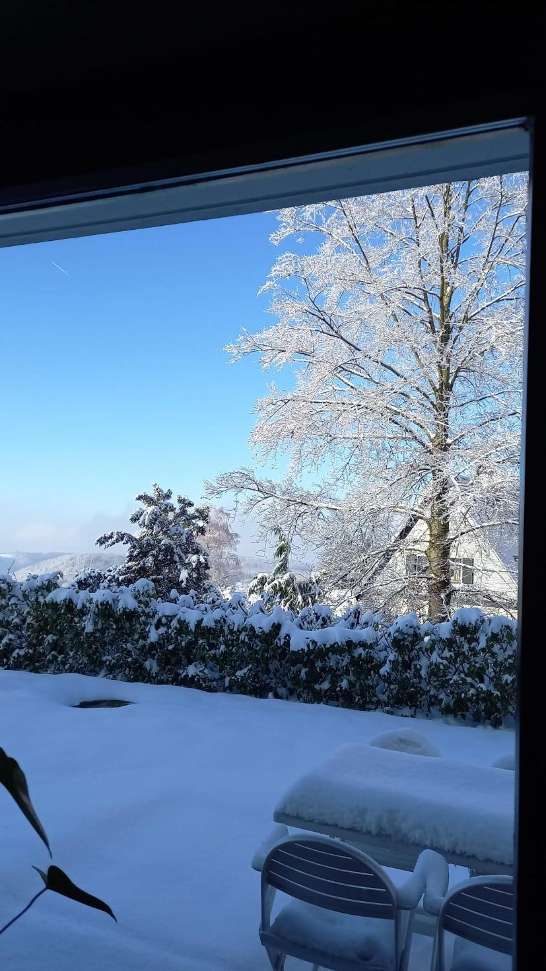 Haus Am Wald Leilighet Hillscheid Eksteriør bilde