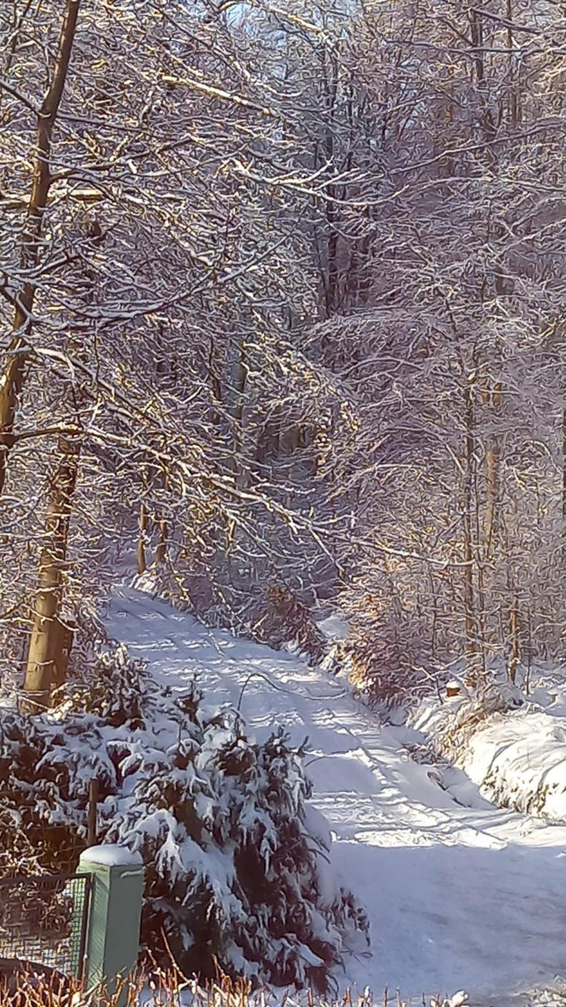 Haus Am Wald Leilighet Hillscheid Eksteriør bilde